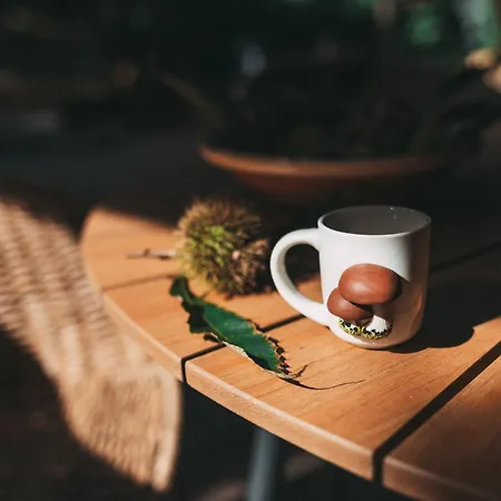 Apartament Koszegi Pagony *